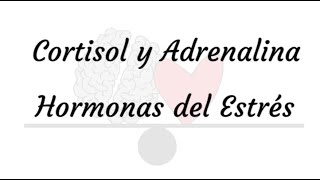 ¿Que és el Cortisol y la adrenalina? - Hormonas del estrés - Nutrición emocional