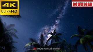 🎁4K Milky Way galaxy over tropical rainforest | DAILY NATURE FOOTAGE