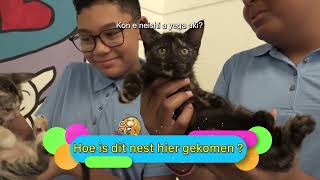 Dierenlot Kids Aflevering 1  Katten Animal Shelter