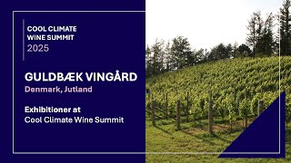 Guldbæk Vingård - a Top Producer from Denmark - at the Cool Climate Wine Summit 2025