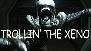 Xeno Trollin' in Alien Isolation