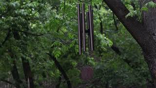 Rain Chimes for Meditation, Sleep, Relaxing, Insomnia, Nature Sounds