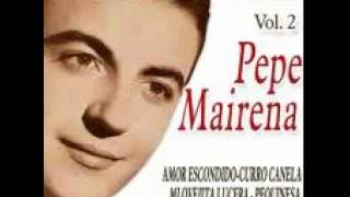 Pequinesa - Pepe Mairena