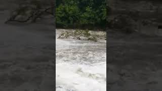 sungai aceh menguap akibat hujan    #viral#viralshorts #viralvideo #banjir