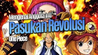 One Piece: Mengenal Anggota Inti Pasukan Revolusi KEKUATAN KOMANDAN PASUKAN REVOLUSI,SABO MENGHILANG