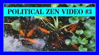 Take a Moment To Forget About Politics! (Political Zen Part 3)