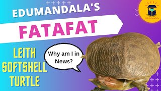 Leith's Softshell Turtle | Species in News | Upgraded Protection under CITES | EduMandala