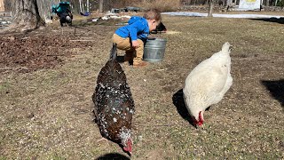 Raising Kids On The Homestead - Farmer Koda Is Almost TWO!