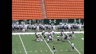 Kanaikai's 2012 Kamehameha Football