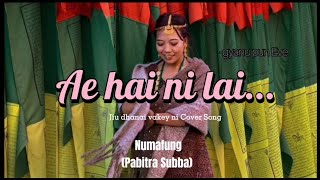 Jiu Dhanai Bhakeni (जिउ धनै भाके नि..) ||Numafung|| gyanu pun Eve