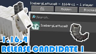 Minecraft 1.16.4 Release Candidate 1 | Bedrock Beta News & Schedule Changes! | Snapshot Summary