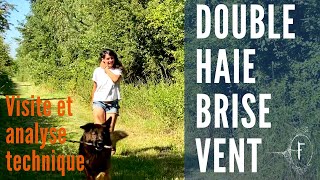 La double haie brise-vent