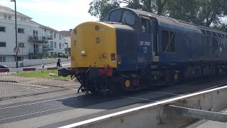 37703 arrives into paignton 1/6/24