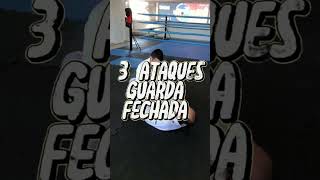 🚨 3 ataques da guarda fechada. 🚨@luisao.bjj @clebesalvesmeira 🥋