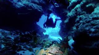 Day 6 diving Cozumel with Aldora Dec. 2018