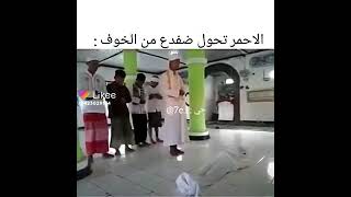 استوريات مضحكه ( الأحمر تحول ضفدع من الخوف)😂😂😂😂😂