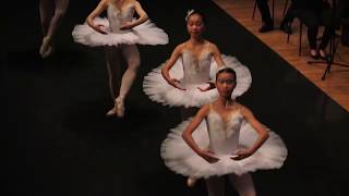 P.Tchaikovsky: The Swan Lake / Ponte Orchestra (Excerpt 4)