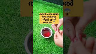 കട്ടൻ ചായ ഉണ്ടോ??/poppy vlogs