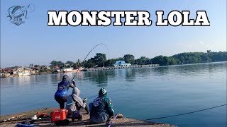 Mancing Baronang MONSTER Bikin Gemeter