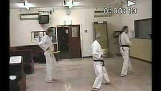 Kyushindo Karate