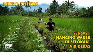 Micro fishing || Mancing ikan wader di selokan air deras #mancingliar  #mancingwader #mancingnilem