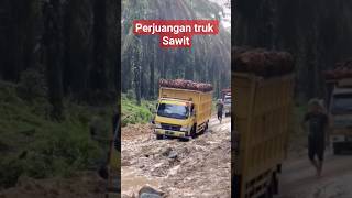 perjuangan truk sawit #truksawit #trukoleng # trukcanter