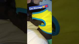 Cat massage #Blue #viralshorts #catlover #cat #viralcat #shortsvideo #shorts