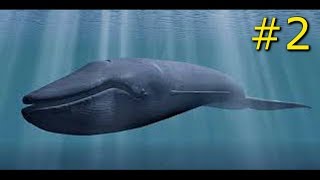 BLUE WHALE THE GAME 2