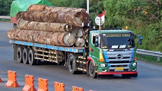 Huge Timber Transport Trucks | Port of Gresik