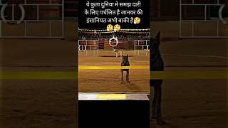 इनसानियत इसे कहते हैं #viralvideo #motivation #videos