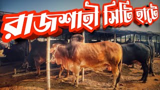 রাজশাহী সিটি হাট ঘুরে আসলাম || হাটে হাটাহাটি ০২ || Purbasha Agro