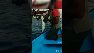 #حداق #fishcatching #gulfsea #shortvideo #fish