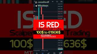 IS RED EA MT4 Best Scalper For Gold Trading