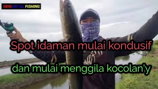 Casting ikan gabus ll spot idaman kembali menggila