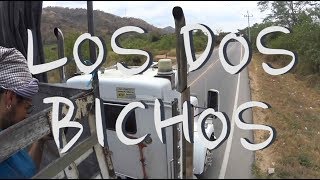 Los Dos Bichos - Chapitre 7 : Colombia a dedo (en stop)