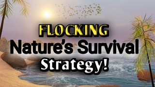 MAZING | Flocking | Nature’s Survival Strategy! | 4K