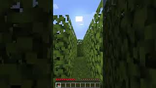 Minecraft Maze, but We Swap Places Every Minute...