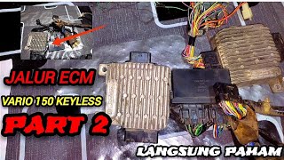 jalur ecm pada vario 150 keyless dan fungsinya part 2