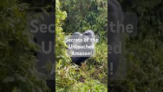 Unseen Mysteries of the Amazon Rainforest!