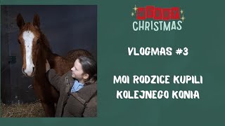 VLOGMAS #3 | MOI RODZICE KUPILI KOLEJNEGO KONIA