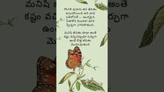 #quotes #telugu #shorts #youtube #ytshorts #ytshortsindia #telugu #viral #ytviral #motivation