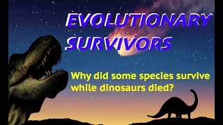 Dinosaurs lived on long after the asteroid hit! (and why some species adapted to survive)