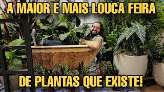 A MAIOR FEIRA DE PLANTAS E FLORES DO BRASIL - HOLAMBRA Enflor & Garden Fair