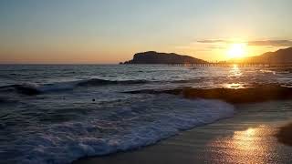 Silhouettes of People and Seagulls on the Beach at Sunset(@NaturalCures)