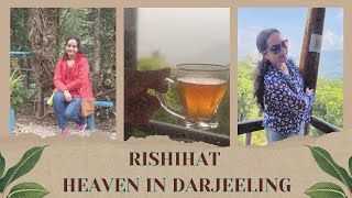 চলো যাই ঋষিহাট, দার্জিলিংয়ে এক ভূস্বর্গ || Risheehat darjeeling tour plan | Rishihat darjeeling