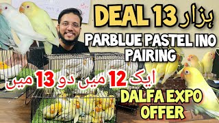 Deal 13 Hazar aik 12 mai do 13 mai | Parblue Pastel ino pairing | Dalfa Expo Offer