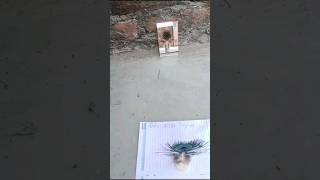 Peacock feather mirror test #trending