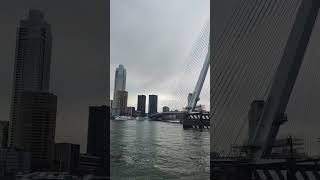 Erasmus bridge Rotterdam