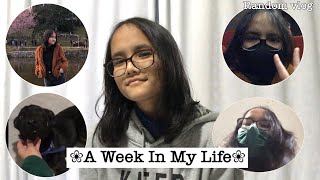 A WEEK IN MY LIFE | RANDOM VLOGS | Alosa shylla