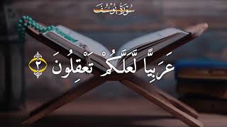 إِنَّآ أَنزَلْنَٰهُ قُرْءَٰنًا عَرَبِيًّا لَّعَلَّكُمْ تَعْقِلُونَ...